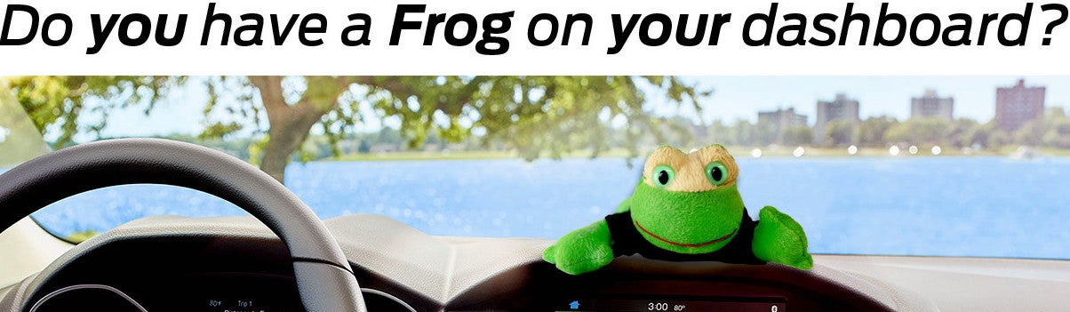 Preston Frog Cambridge Auto Body in Cambridge MD
